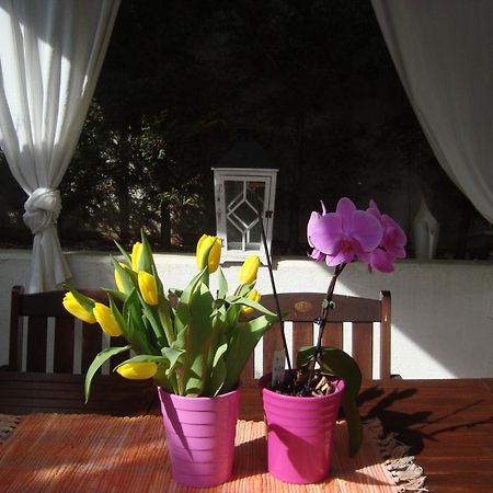 Apartment Villa Holiday II PUY Exterior foto