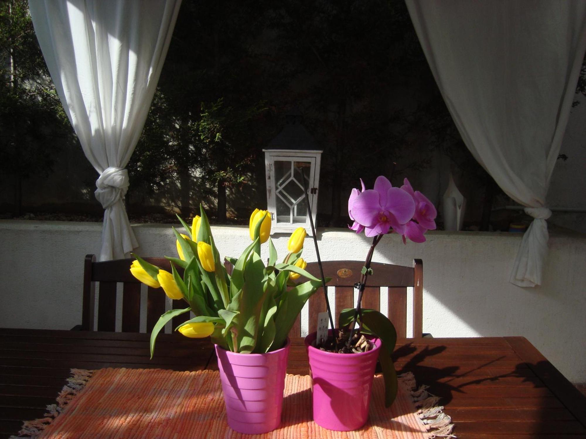 Apartment Villa Holiday II PUY Exterior foto